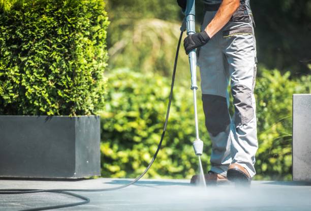 Best Driveway Pressure Washing  in South Hooksett, NH